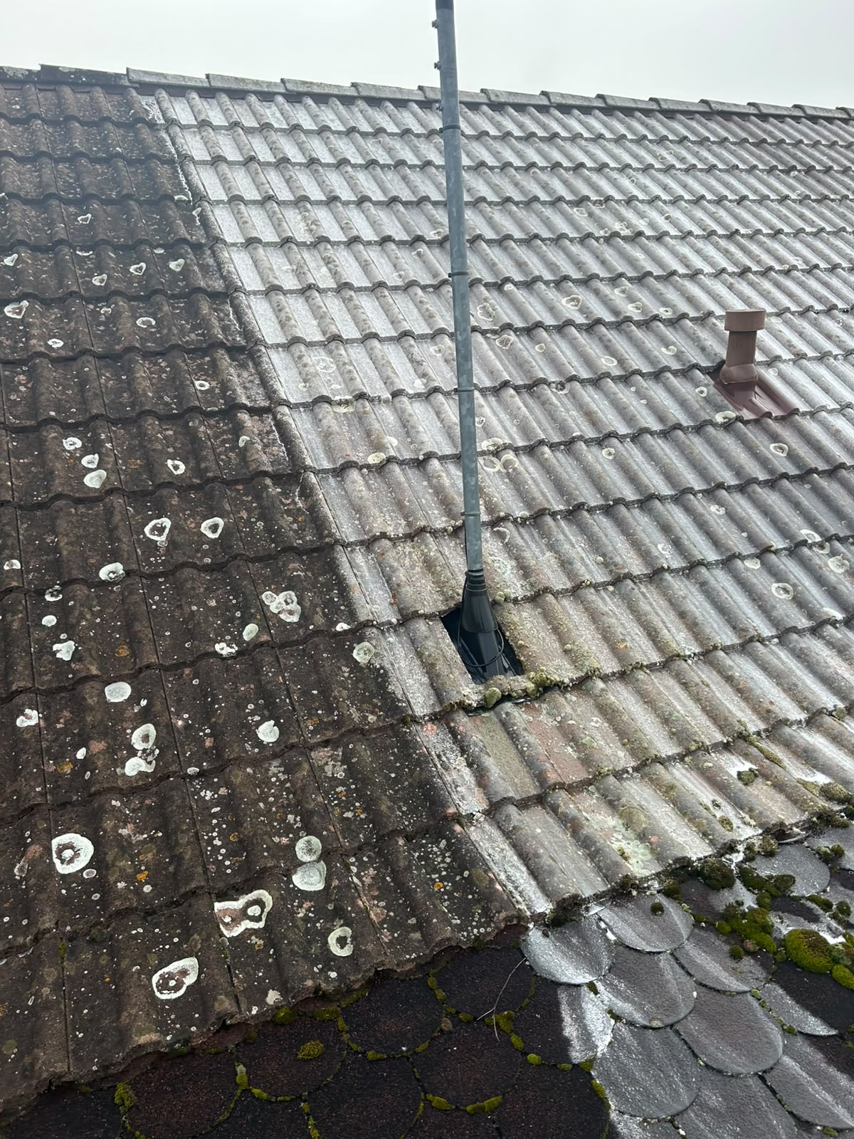 Toiture avant démoussage et traitement — chantier FD Rénov toiture à Alsace (Alsace, Haut-Rhin)